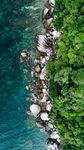 海岸绿植与碧蓝海水景观
