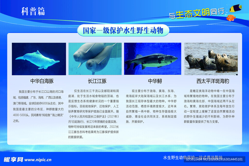 海洋生物保护