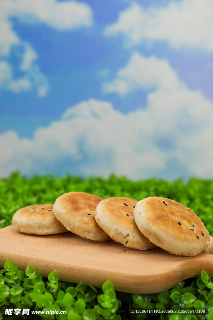草地上的美味芝麻烧饼