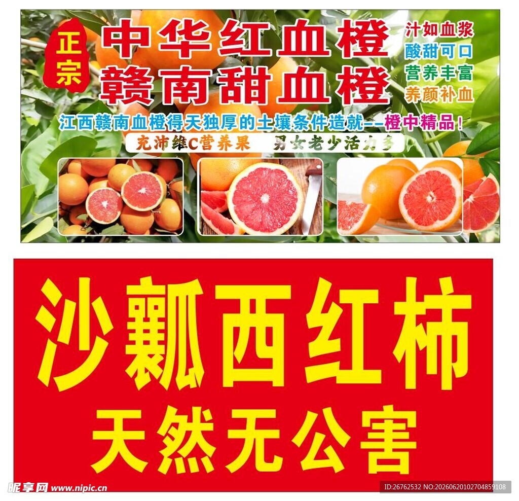 中华红血橙