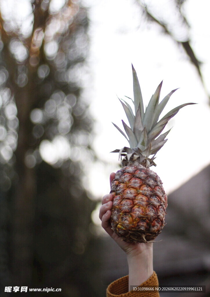手举新鲜菠萝
