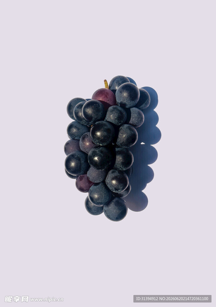 一串紫葡萄