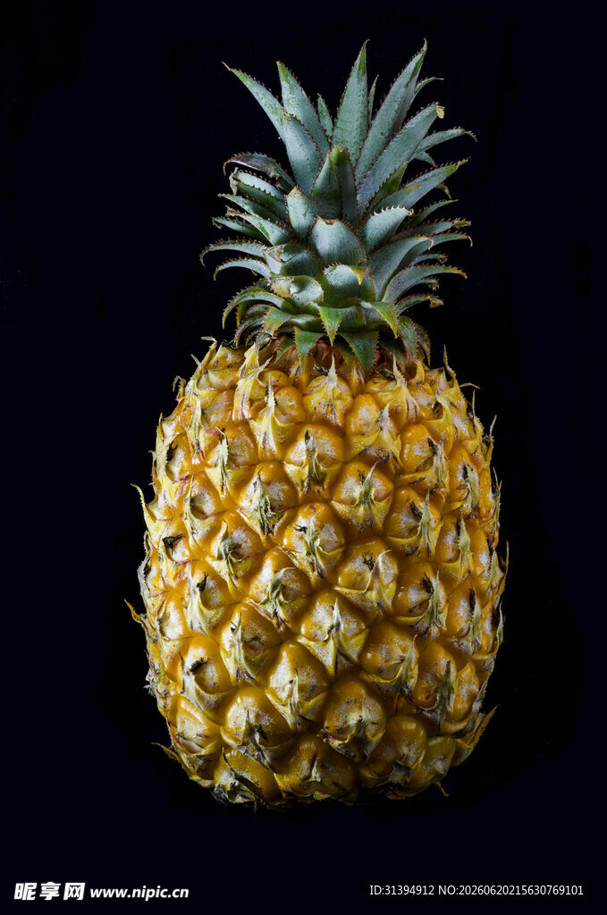 单个金黄菠萝特写