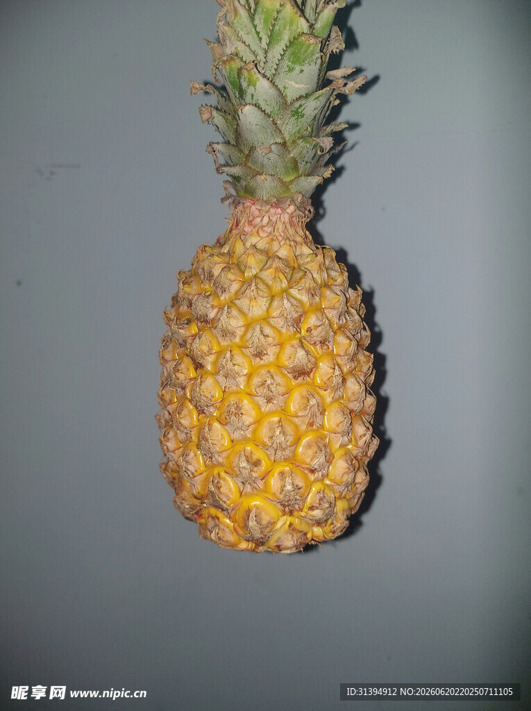 单个金黄菠萝特写