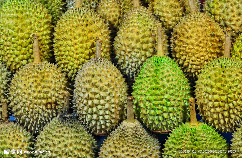 整齐摆放的新鲜榴莲
