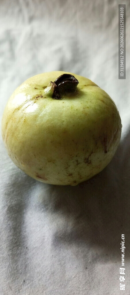 青绿色番石榴果实特写