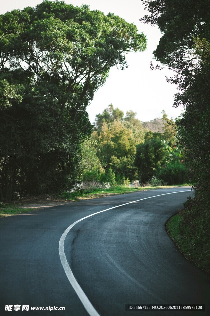 蜿蜒林间公路绿意盎然