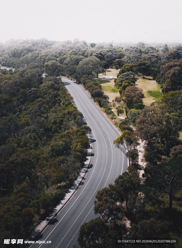 蜿蜒公路穿行于葱郁林间