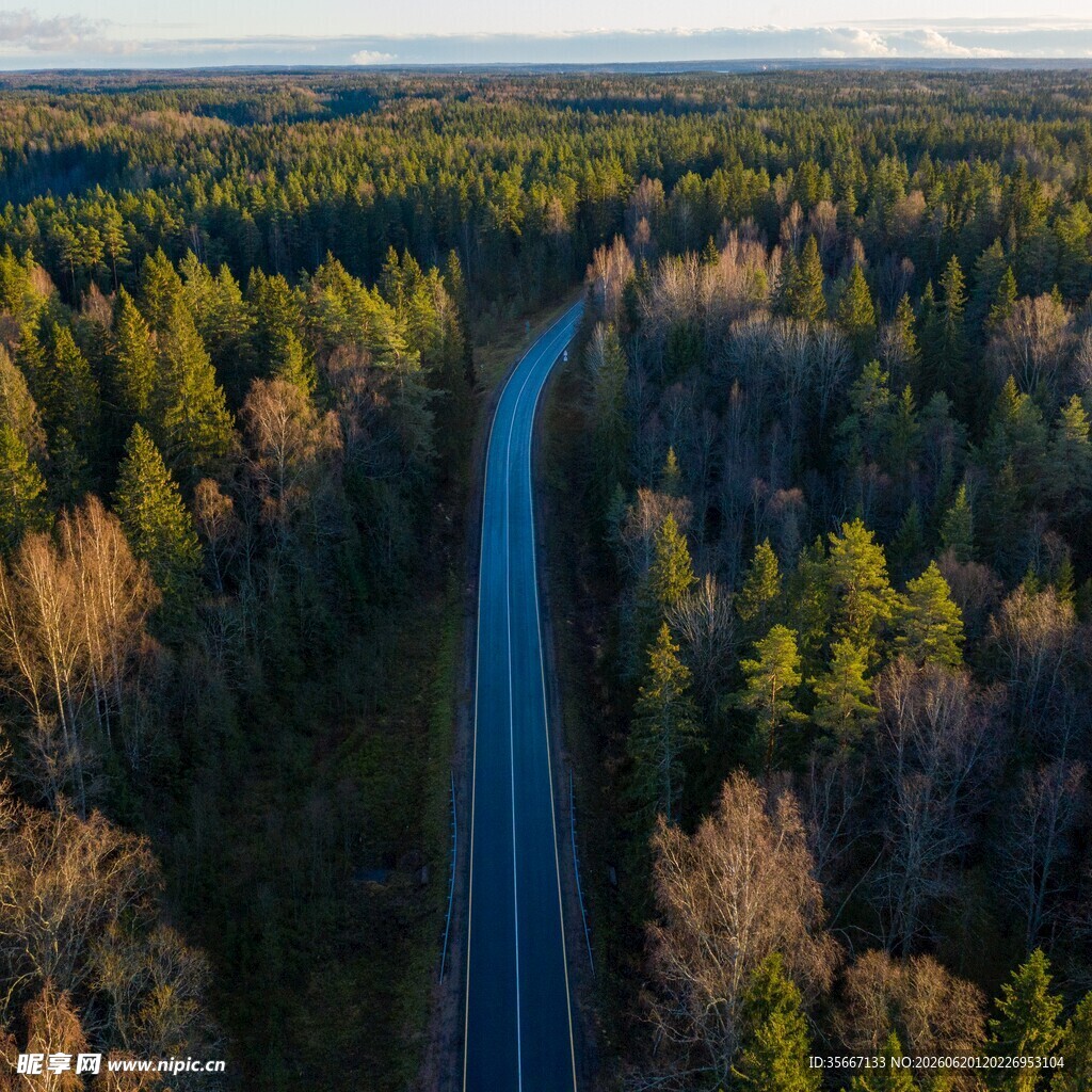 林间公路航拍美景