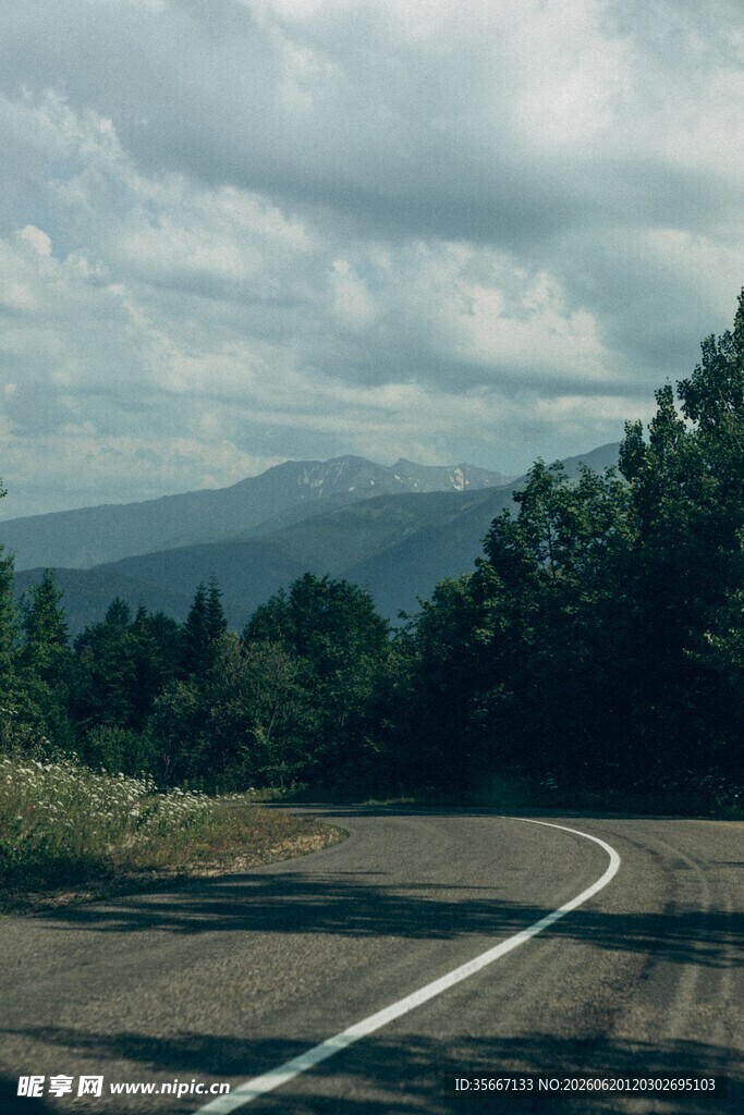 蜿蜒公路旁的山林与远山