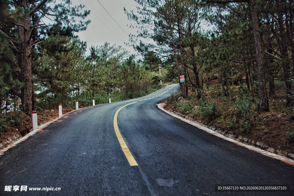 林间蜿蜒公路美景