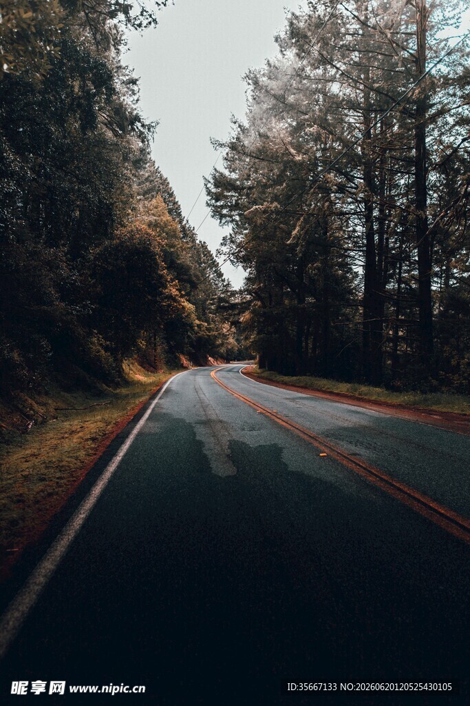 蜿蜒林间公路美景