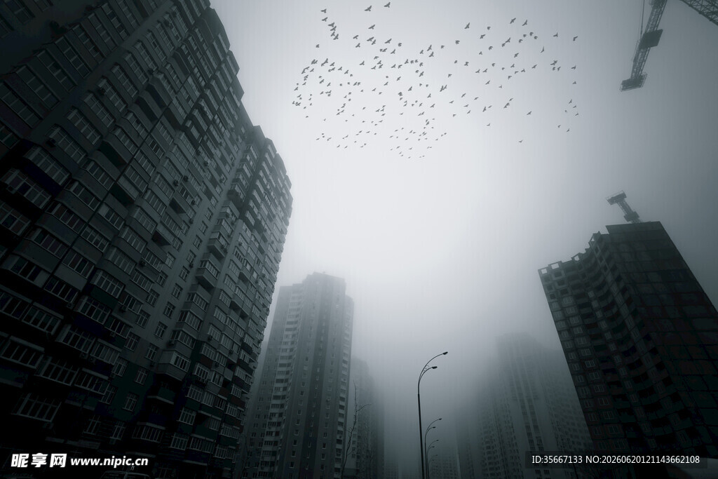 雾中都市高楼景象