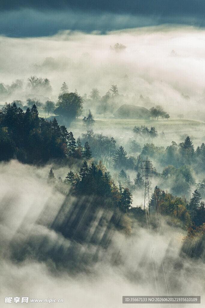 山间云雾缭绕的森林美景