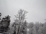 冬日雪景