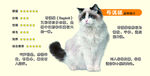可爱猫咪与营养信息