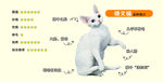 猫咪展示身体部位