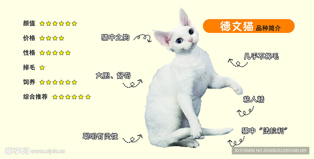 猫咪展示身体部位