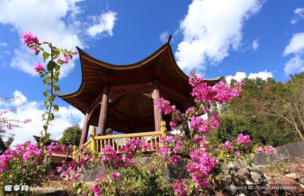 古亭繁花映蓝天