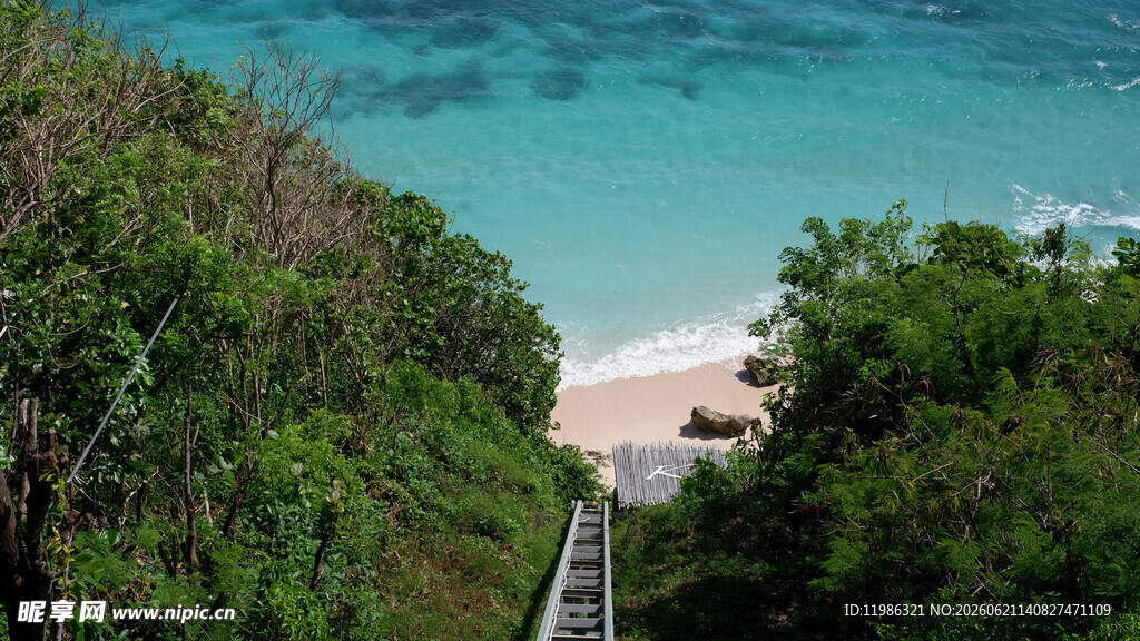 通往碧海沙滩的林间阶梯