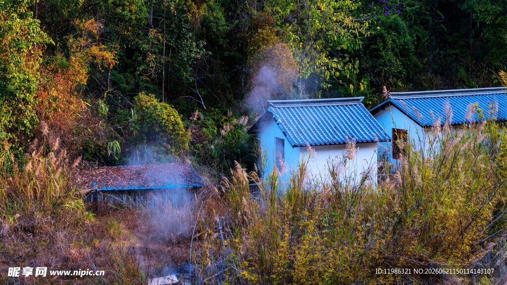 山林中的静谧小屋