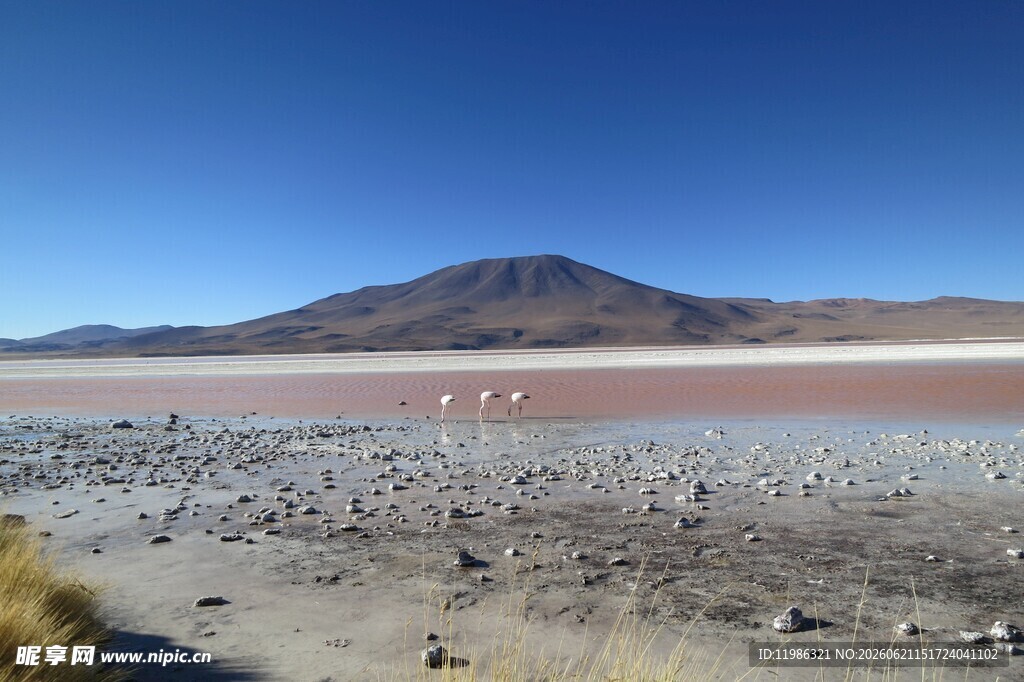 广阔盐湖与远处山峦景观