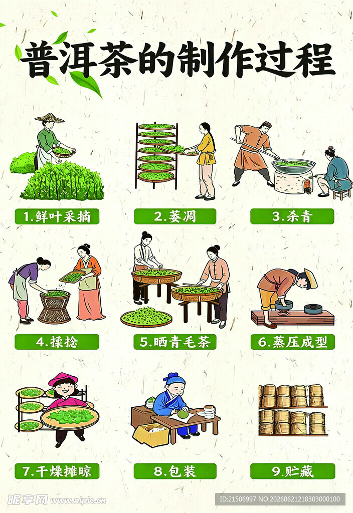 普洱茶的制作过程