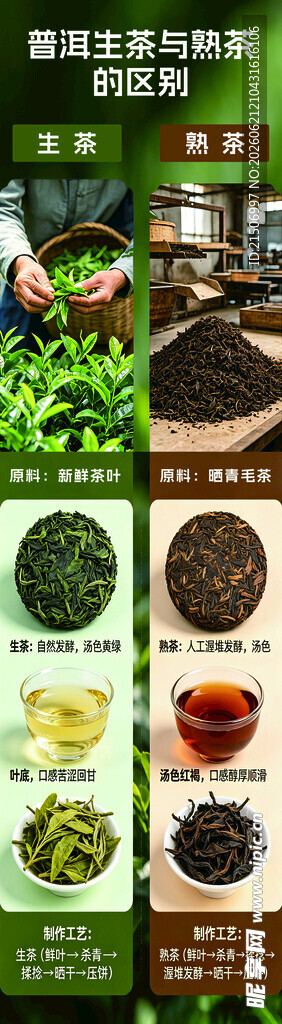 普洱茶生茶与熟茶的区别
