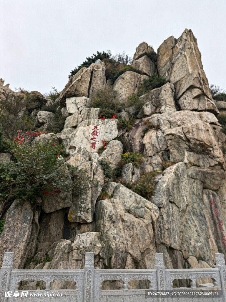 泰山