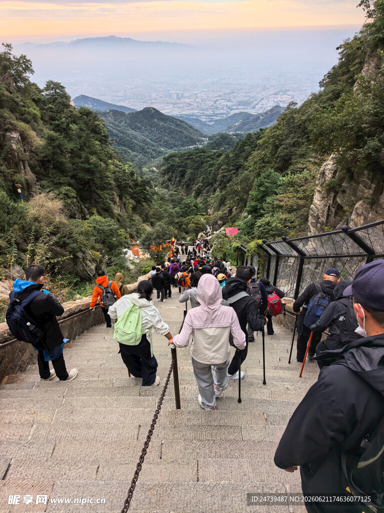 泰山