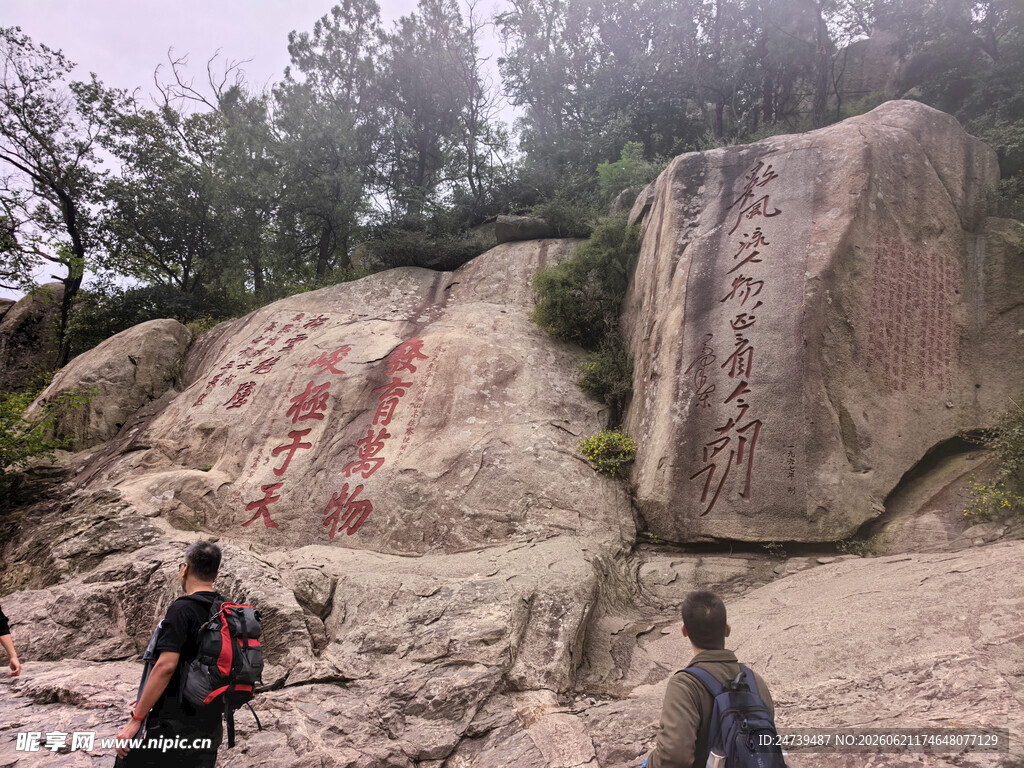 泰山