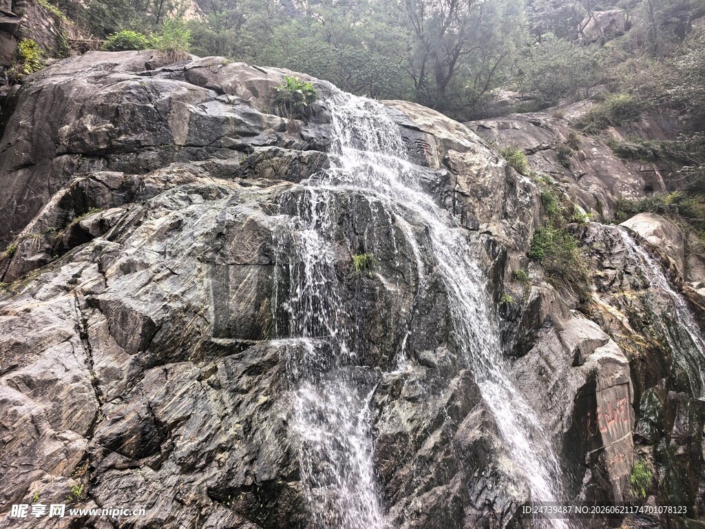 泰山