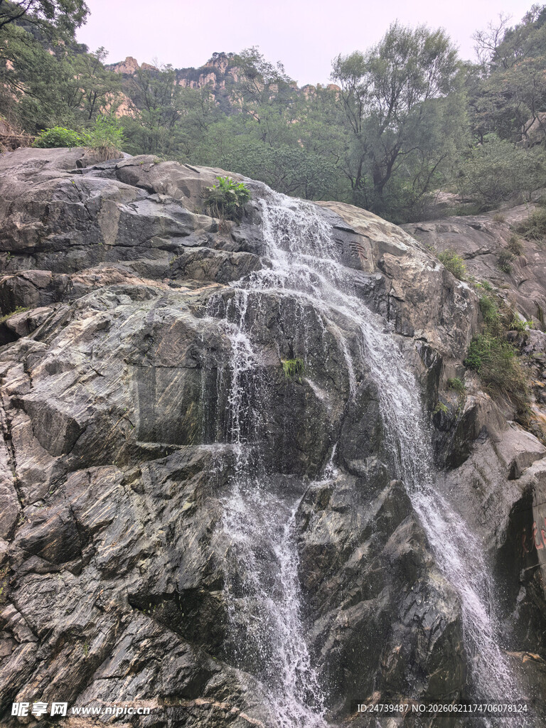 泰山