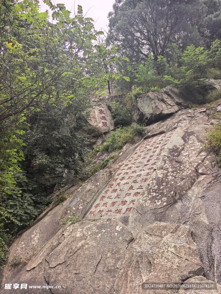 泰山