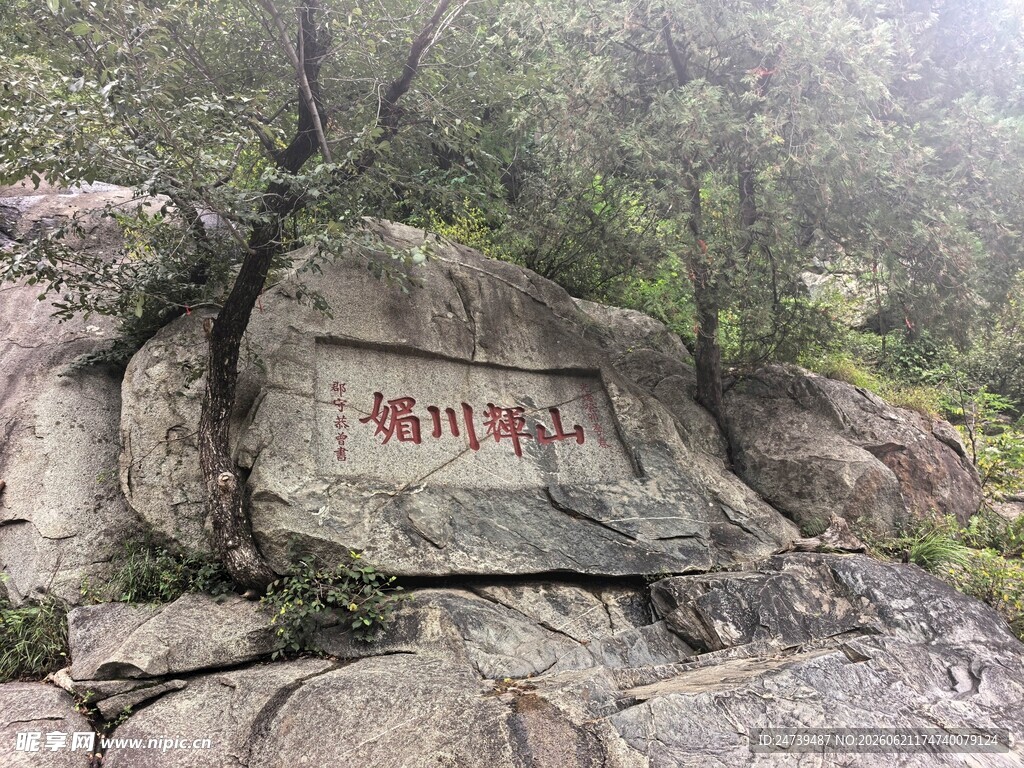泰山