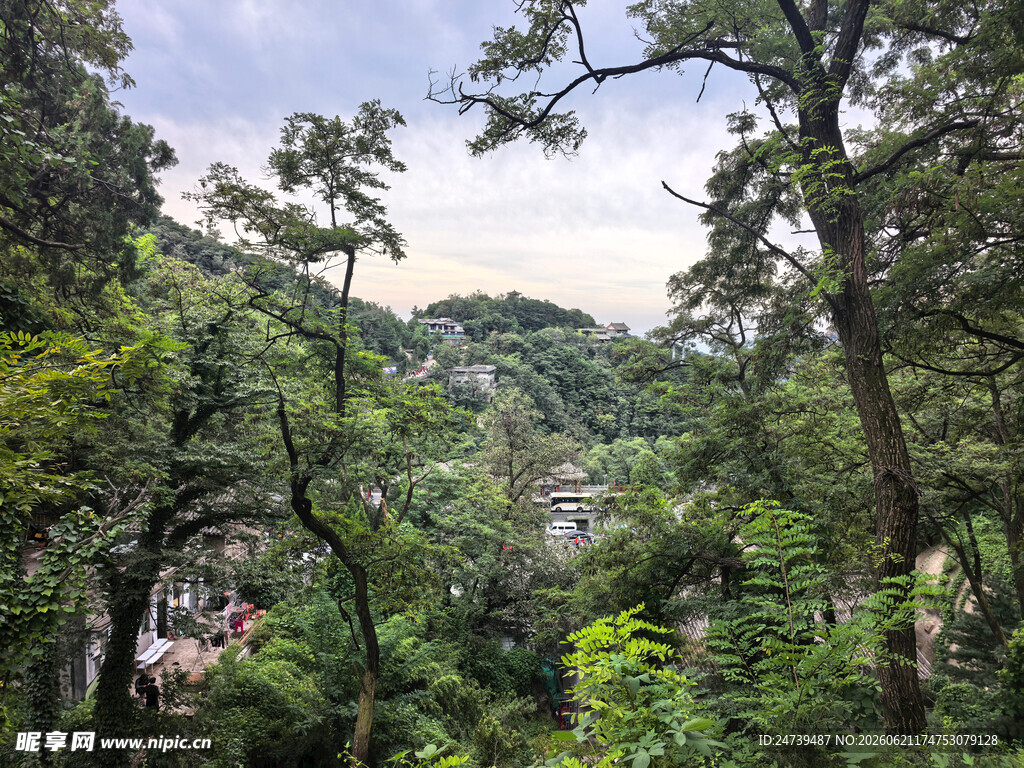 泰山
