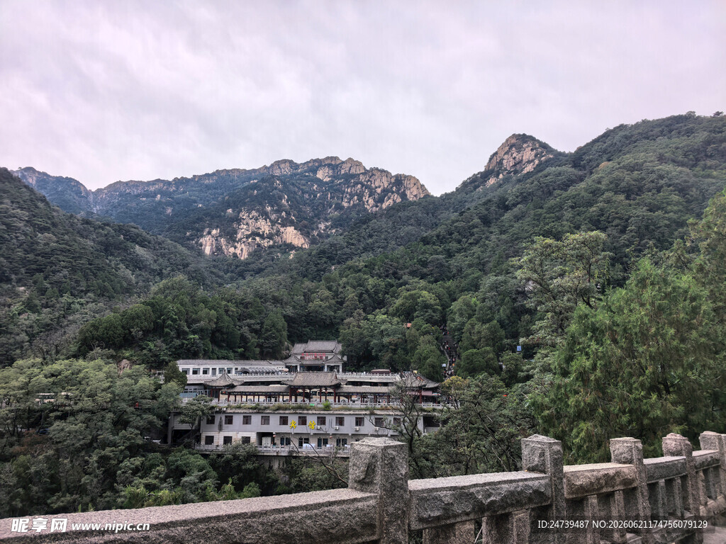 泰山