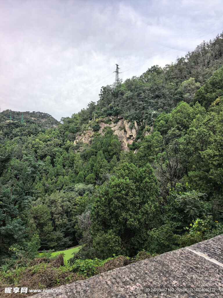 泰山