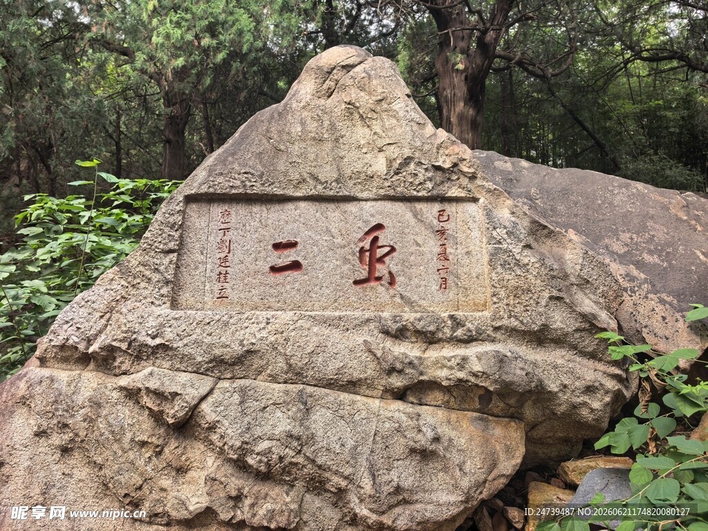 泰山