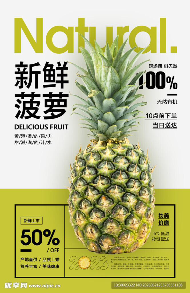 菠萝水果海报