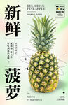 菠萝水果海报