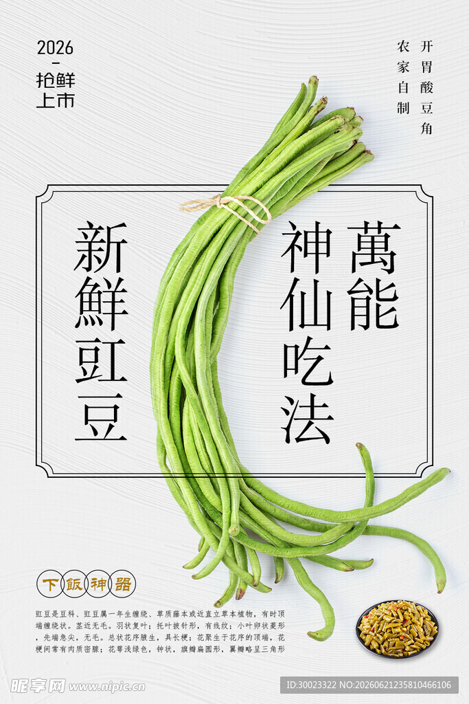 豆角海报