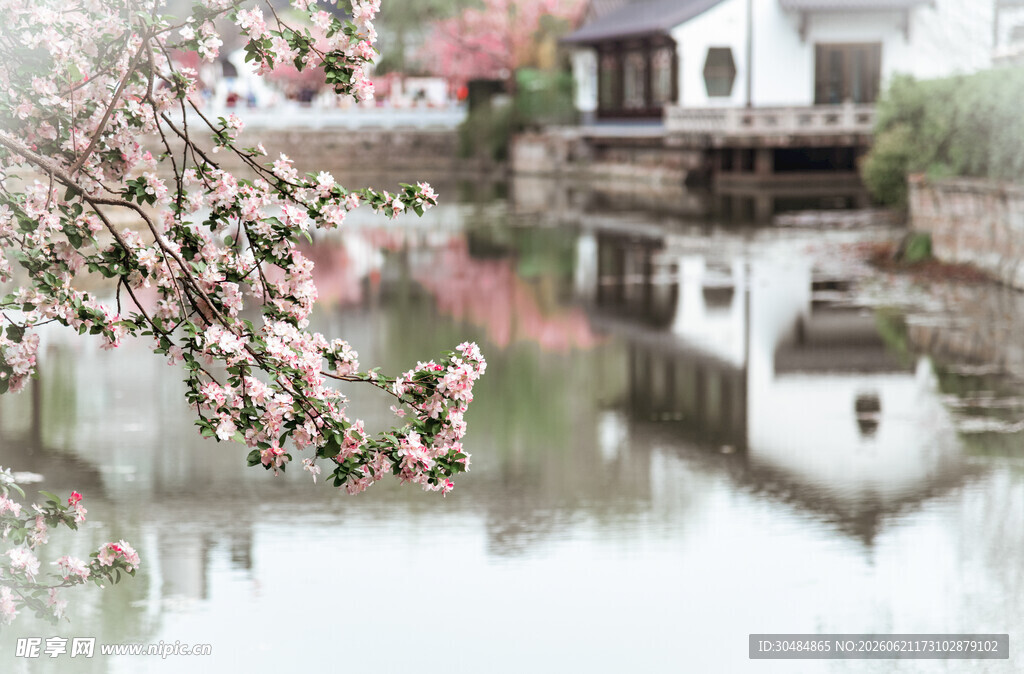 江南水乡春景