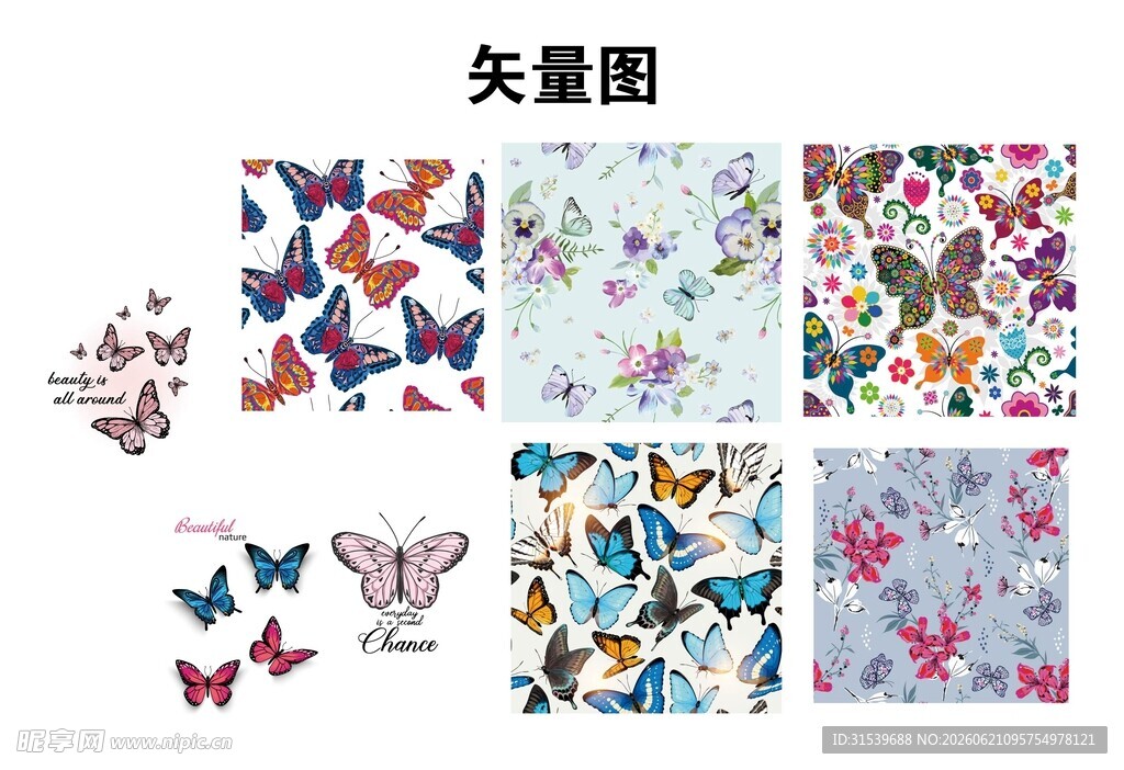 多彩蝴蝶矢量图案集合