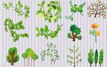 多样绿植矢量素材集合