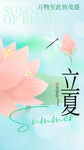 立夏节海报展板素材