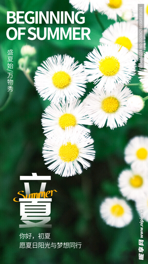 立夏节海报展板素材