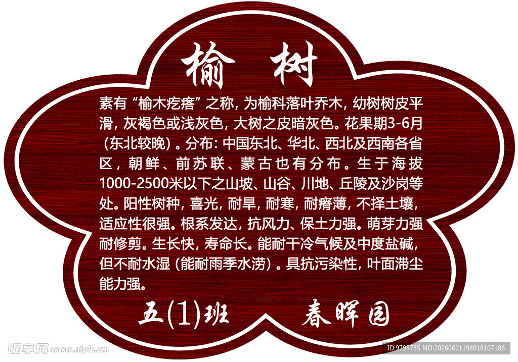 树牌