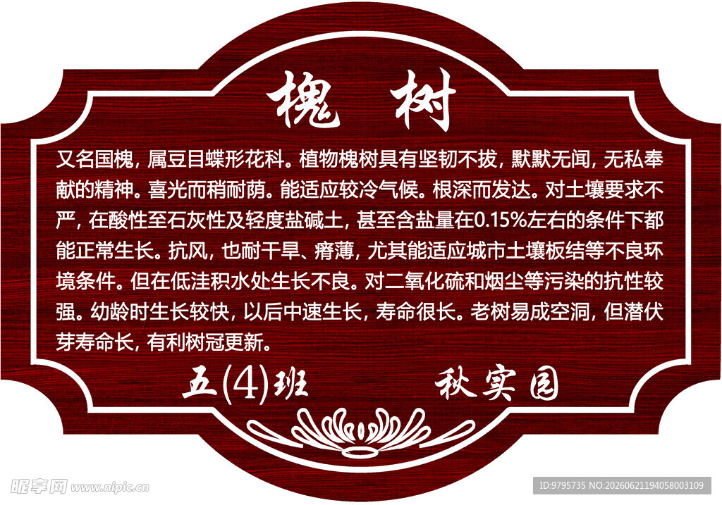 树牌四