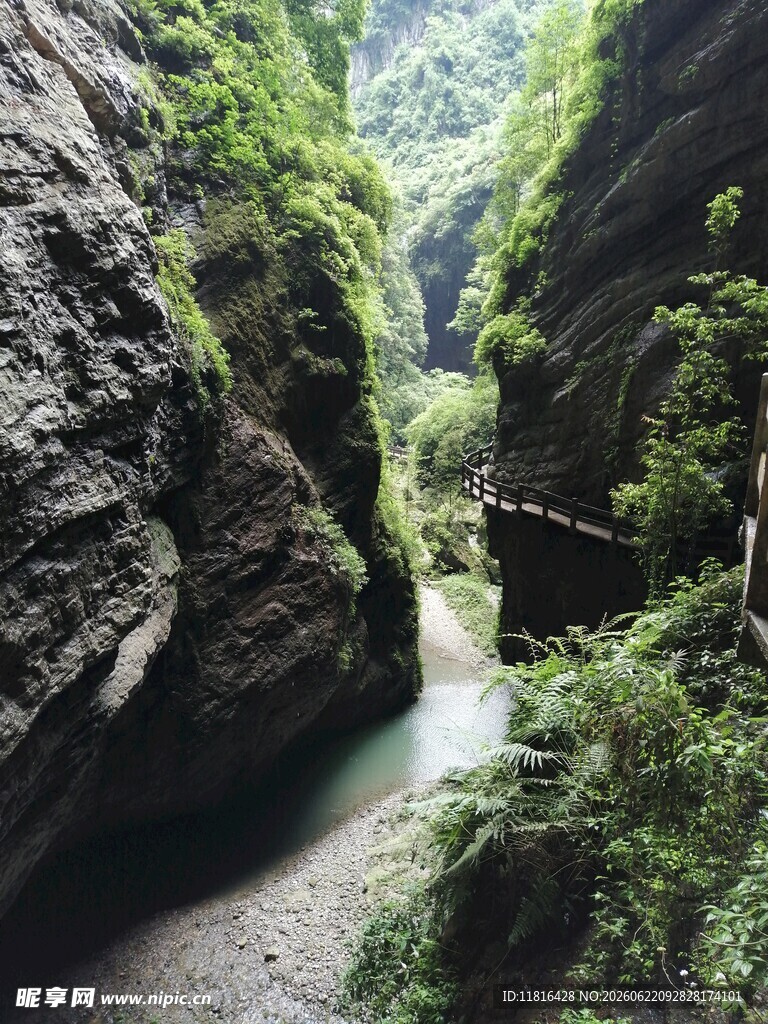 峡谷幽径绿意盎然的自然奇观